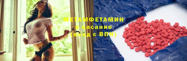 гидра Кодинск