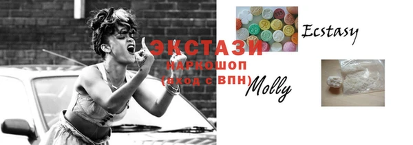 гидра Кодинск