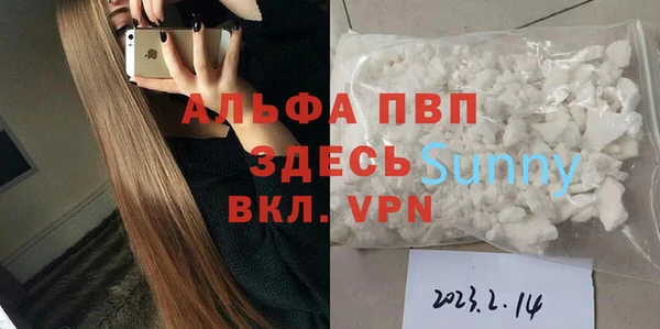 гидра Кодинск